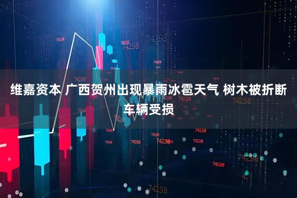 维嘉资本 广西贺州出现暴雨冰雹天气 树木被折断车辆受损
