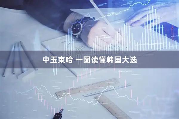 中玉束哈 一图读懂韩国大选