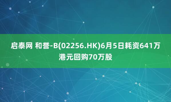 启泰网 和誉-B(02256.HK)6月5日耗资641万港元回购70万股