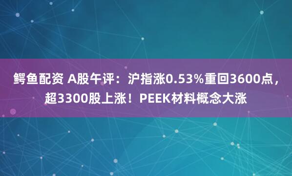 鳄鱼配资 A股午评：沪指涨0.53%重回3600点，超3300股上涨！PEEK材料概念大涨