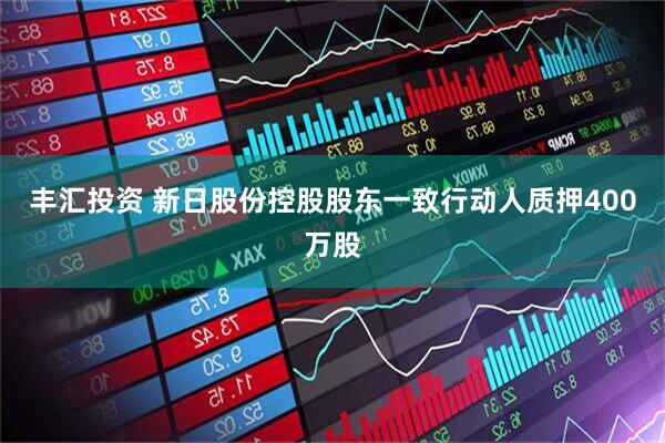 丰汇投资 新日股份控股股东一致行动人质押400万股