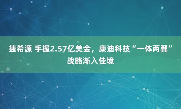 捷希源 手握2.57亿美金，康迪科技“一体两翼”战略渐入佳境