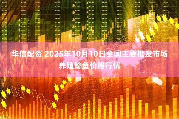 华信配资 2025年10月10日全国主要批发市场养殖鲶鱼价格行情