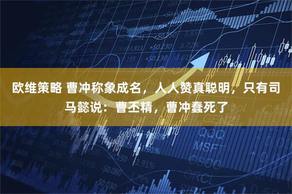 欧维策略 曹冲称象成名，人人赞真聪明，只有司马懿说：曹丕精，曹冲蠢死了