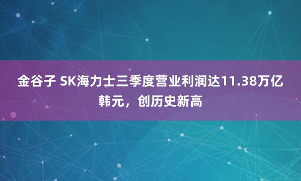 金谷子 SK海力士三季度营业利润达11.38万亿韩元，创历史新高