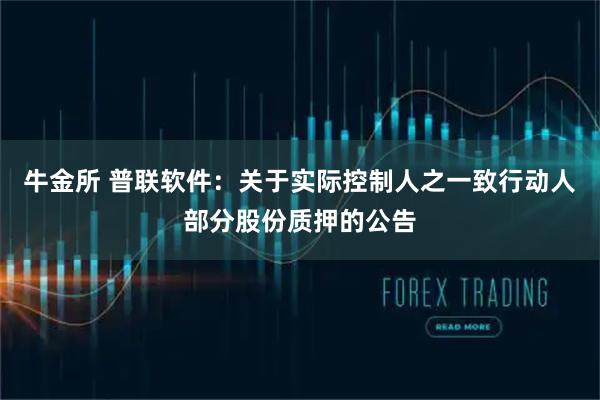 牛金所 普联软件：关于实际控制人之一致行动人部分股份质押的公告