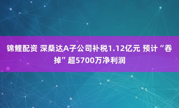 锦鲤配资 深桑达A子公司补税1.12亿元 预计“吞掉”超5700万净利润