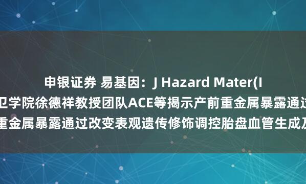 申银证券 易基因：J Hazard Mater(IF11.3)：安徽医科大学公卫学院徐德祥教授团队ACE等揭示产前重金属暴露通过改变表观遗传修饰调控胎盘血管生成及胎儿发育机制