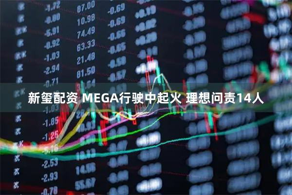 新玺配资 MEGA行驶中起火 理想问责14人