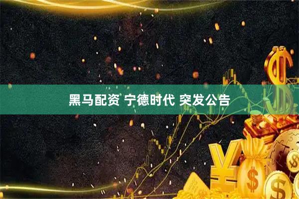 黑马配资 宁德时代 突发公告