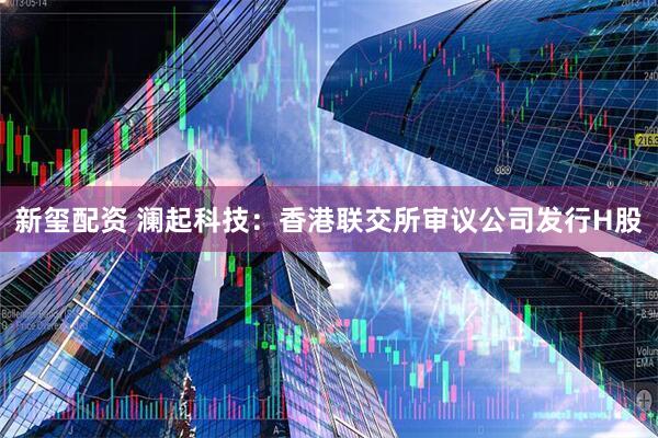 新玺配资 澜起科技:香港联交所审议公司发行H股