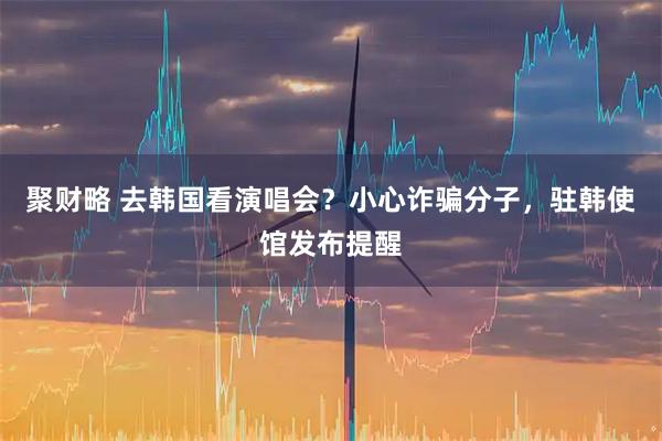 聚财略 去韩国看演唱会?小心诈骗分子,驻韩使馆发布提醒