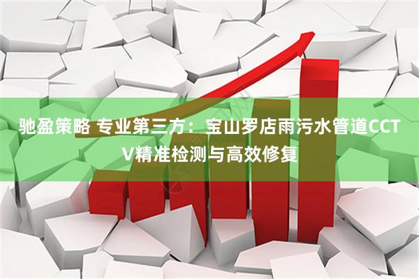 驰盈策略 专业第三方：宝山罗店雨污水管道CCTV精准检测与高效修复