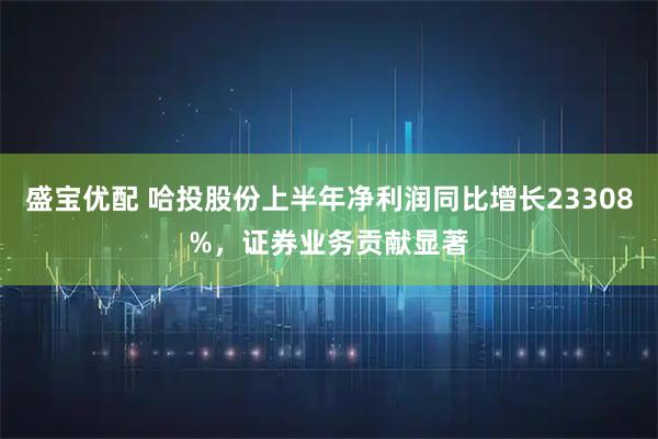 盛宝优配 哈投股份上半年净利润同比增长23308%，证券业务贡献显著
